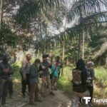 Masyarakat Sungai Bungur Bersama ATR/BPN Jambi Lakukan Penelitian Data Lapangan di Lahan ToL