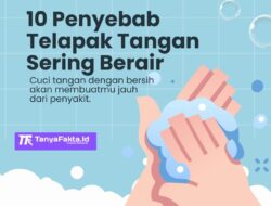 10 Penyebab Telapak Tangan Sering Berair