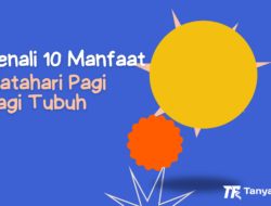 Kenali 10 Manfaat Matahari Pagi Bagi Tubuh