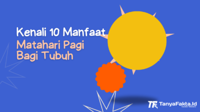 Kenali 10 Manfaat Matahari Pagi Bagi Tubuh