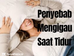 Penyebab Mengigau Saat Tidur