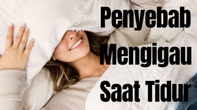 Penyebab Mengigau Saat Tidur. [TanyaFakta.id/Illustrasi]