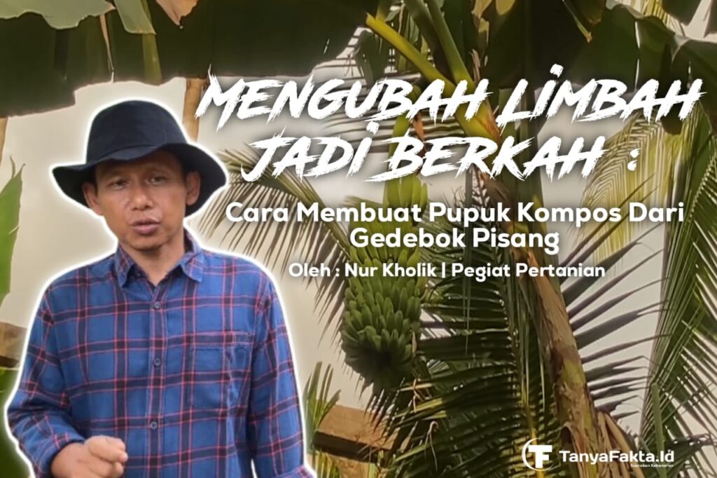 Mengubah Limbah Menjadi Berkah: Membuat Pupuk Kompos dari Gedebog Pisang